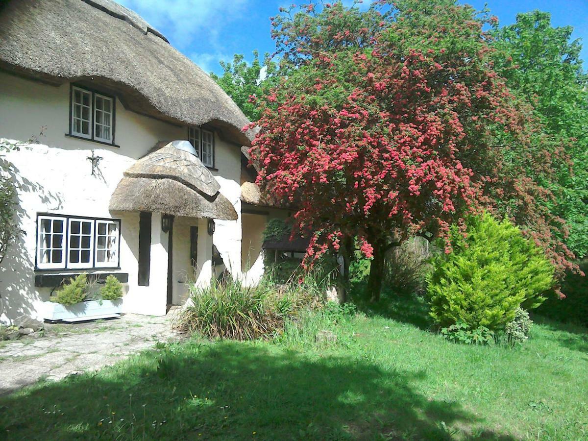 The Crown Inn Alvediston Exteriér fotografie