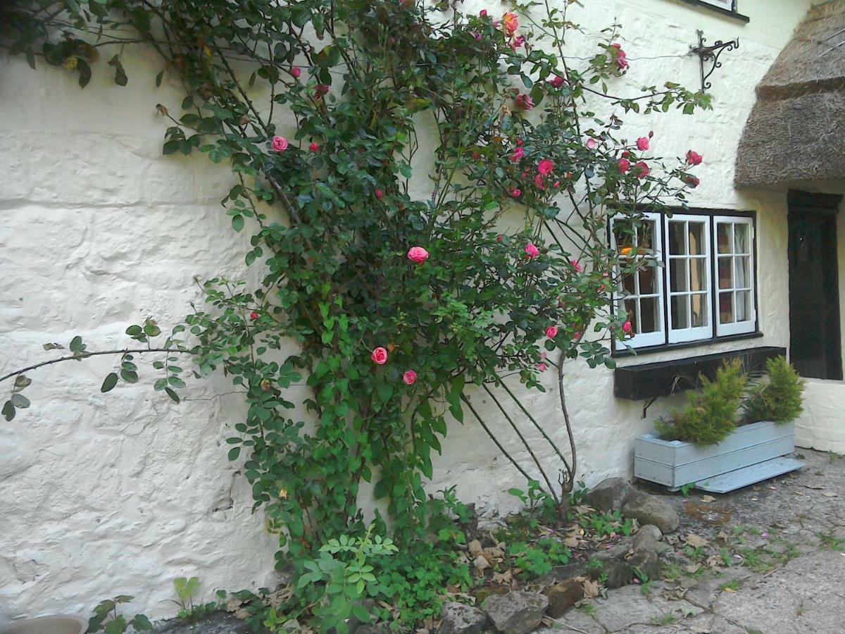 The Crown Inn Alvediston Exteriér fotografie