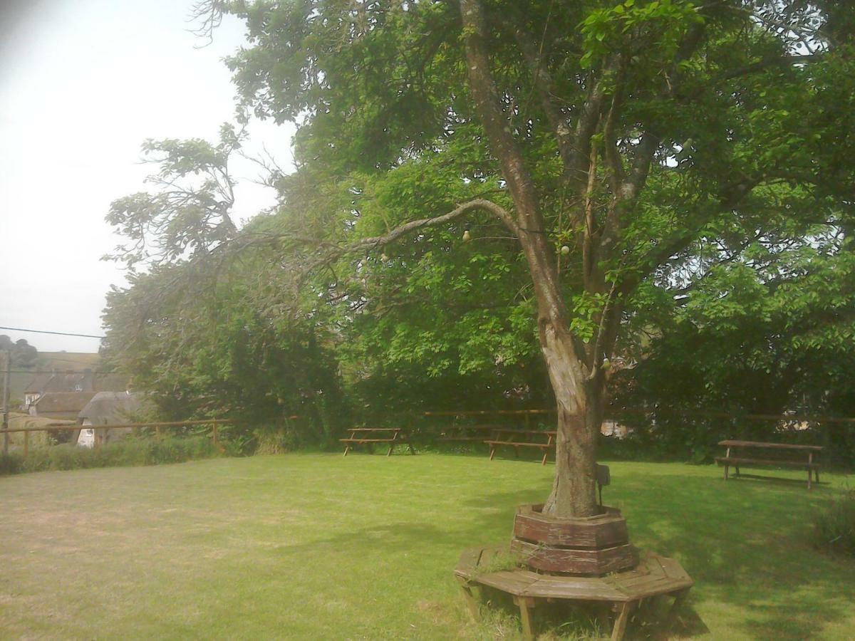 The Crown Inn Alvediston Exteriér fotografie
