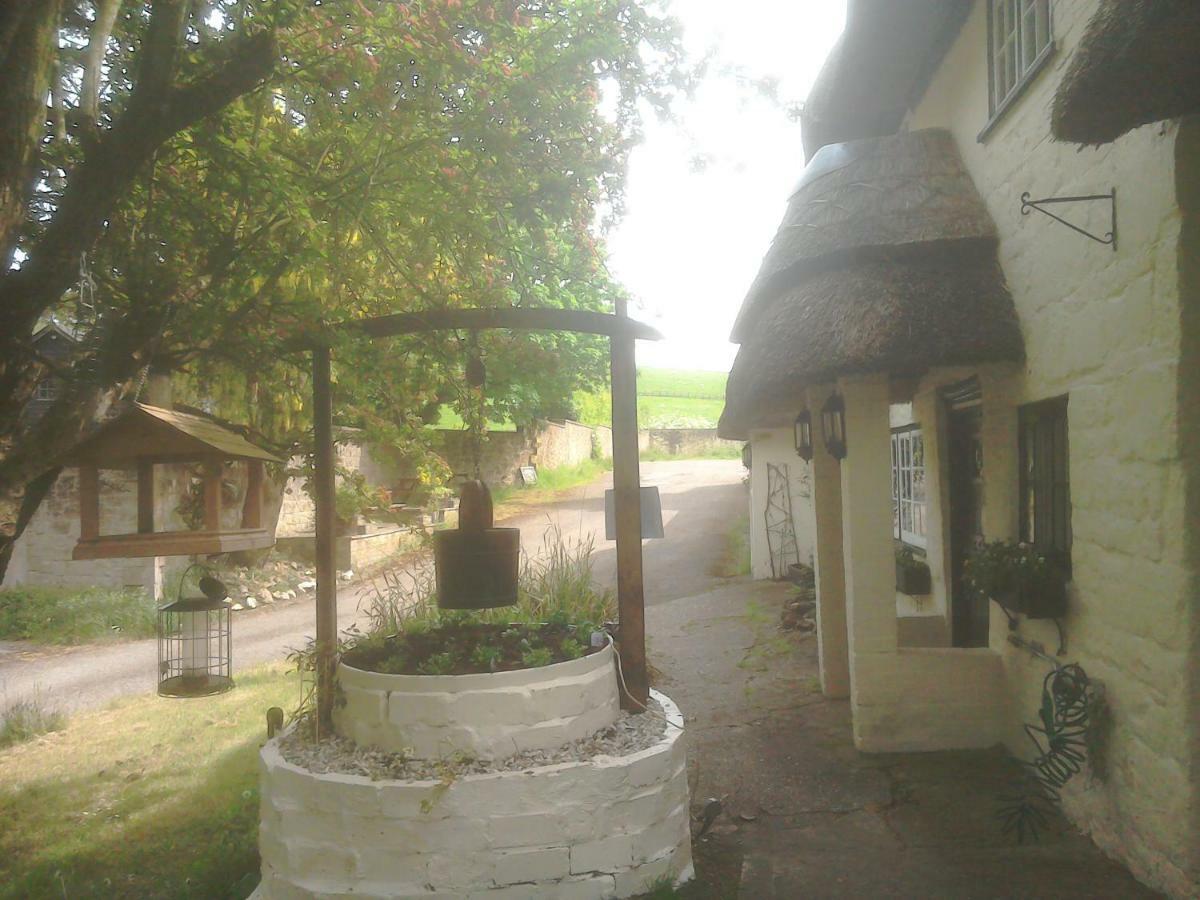 The Crown Inn Alvediston Exteriér fotografie